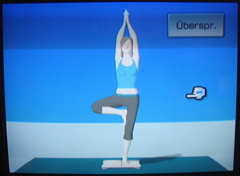 Wii-Fit Yoga 1